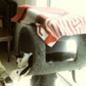 Meet your Posher, Georgie